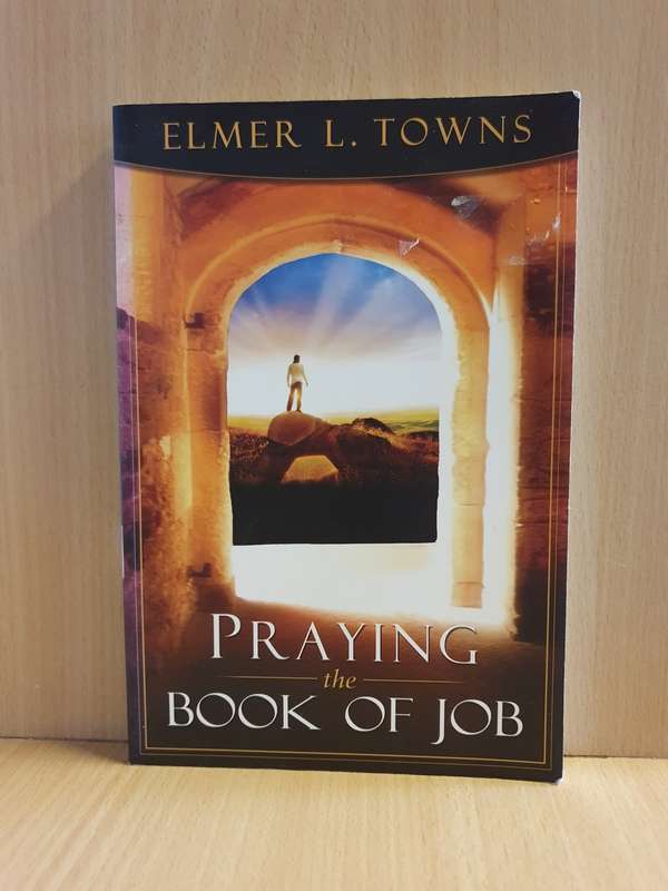 Praying The Book of Job: Elmer L. Towns (Paperback)