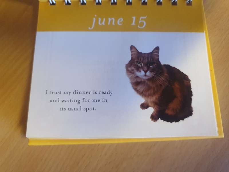 Everyday Thoughts - The Meaning of Meow (365 smiles for cat lovers) Hardcover