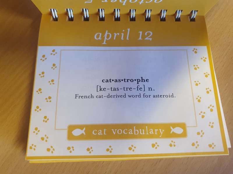 Everyday Thoughts - The Meaning of Meow (365 smiles for cat lovers) Hardcover