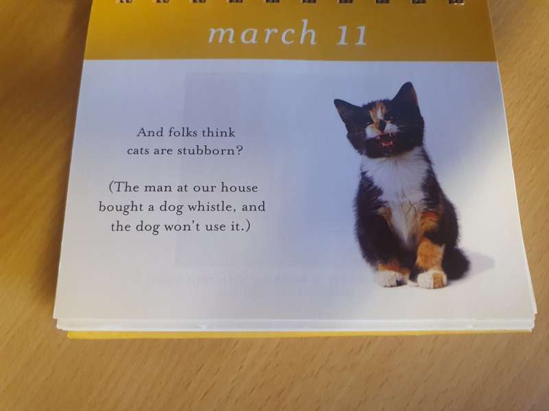 Everyday Thoughts - The Meaning of Meow (365 smiles for cat lovers) Hardcover