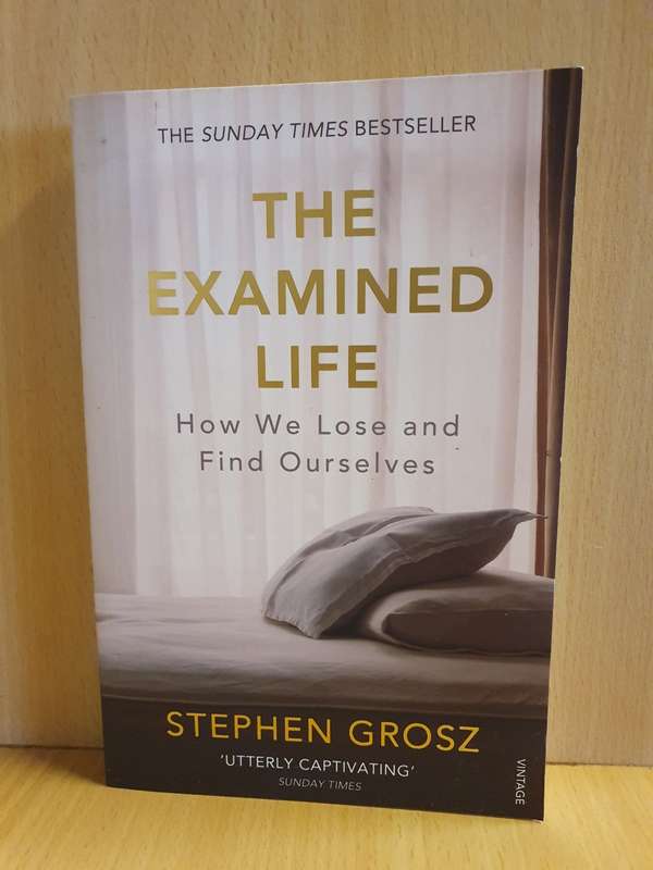 The Examined Life - How we Lose and Find Ourselves: Stephen Grosz (Paperback)