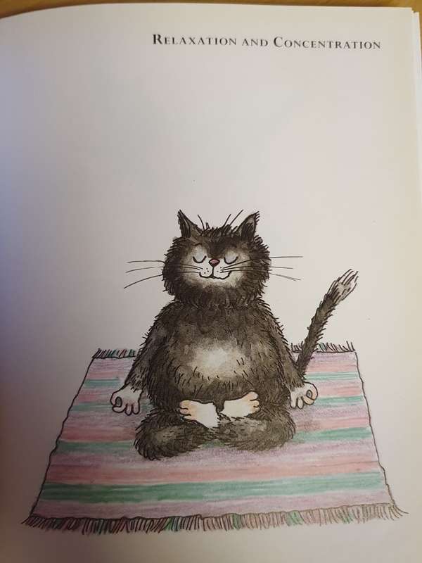 Yoga for Cats - Traudl & Walter Reiner (Hardcover)