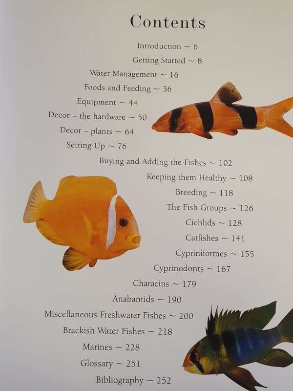 Aquarium Fish - A Guide to identifying and keeping freshwater & marine fishes: Mary Bailey