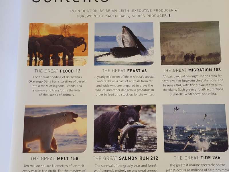 BBC - Nature`s Great Events (Hardcover)