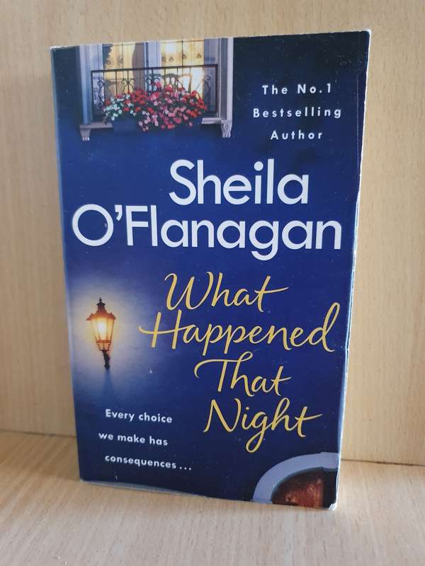 What Happened That Night: Sheila O`Flanagan (Paperback)