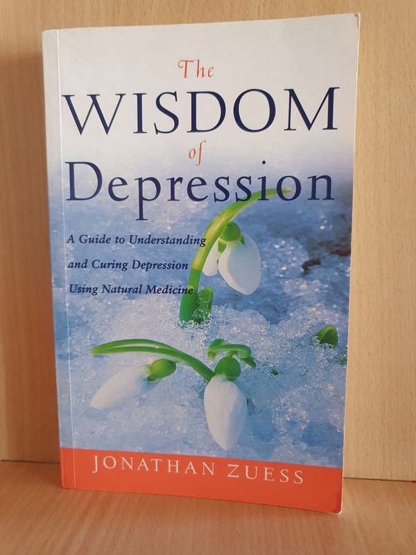 The Wisdom of Depression : Jonathan Zuess (Paperback)