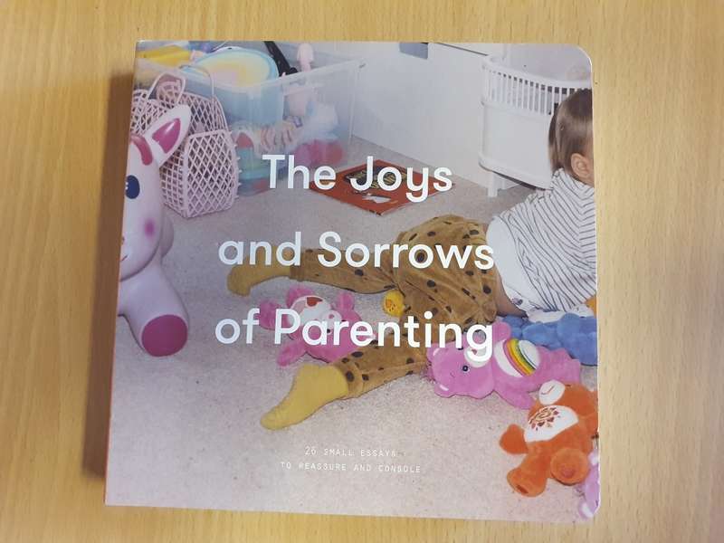 The Joys and Sorrows of Parenting: 26 Essays to Reassure and Console
