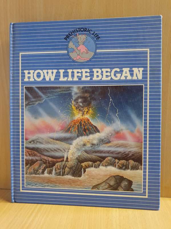 How Life Began (Hardcover)