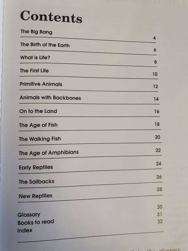 How Life Began (Hardcover)