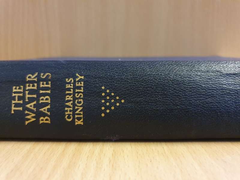 The Water Babies: Charles Kingsley (Hardcover)