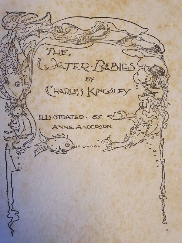 The Water Babies: Charles Kingsley (Hardcover)