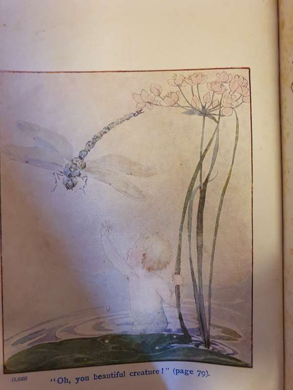The Water Babies: Charles Kingsley (Hardcover)