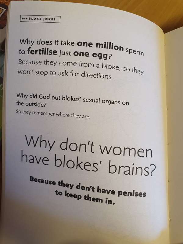 New Woman - Bloke Jokes 2 : Louise Johnson (Paperback)