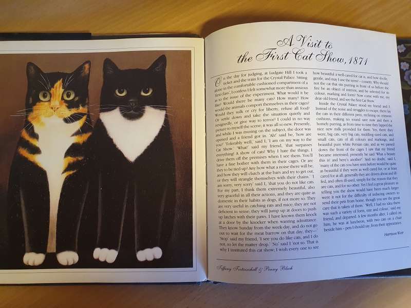 Martin Leman`s Painted Cats  (Hardcover)