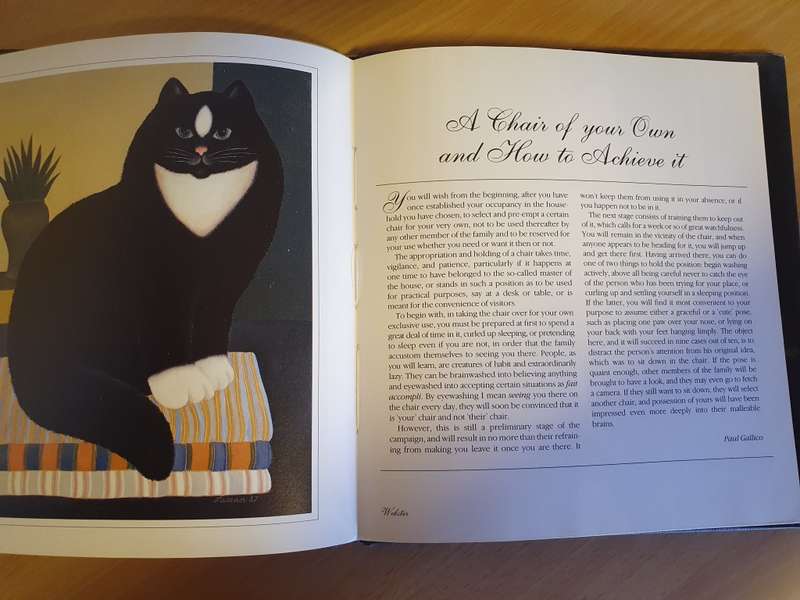 Martin Leman`s Painted Cats  (Hardcover)