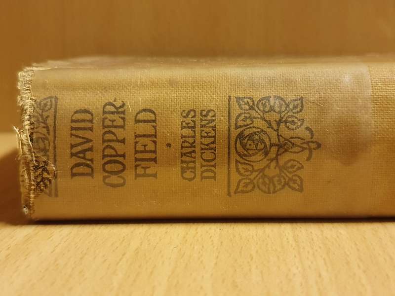 David Copperfield : Charles Dickens (Hardcover)