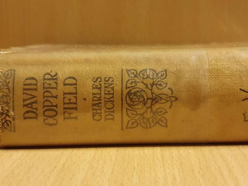 David Copperfield : Charles Dickens (Hardcover)