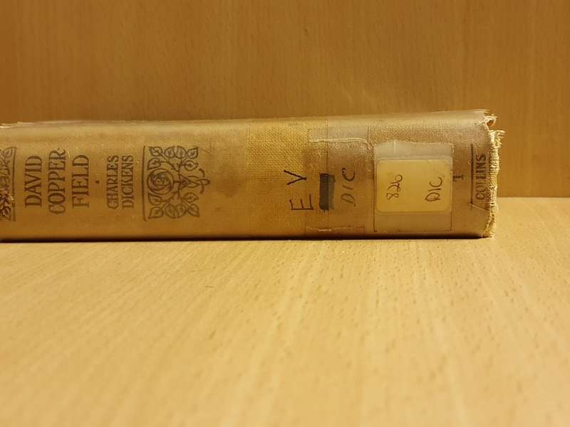 David Copperfield : Charles Dickens (Hardcover)