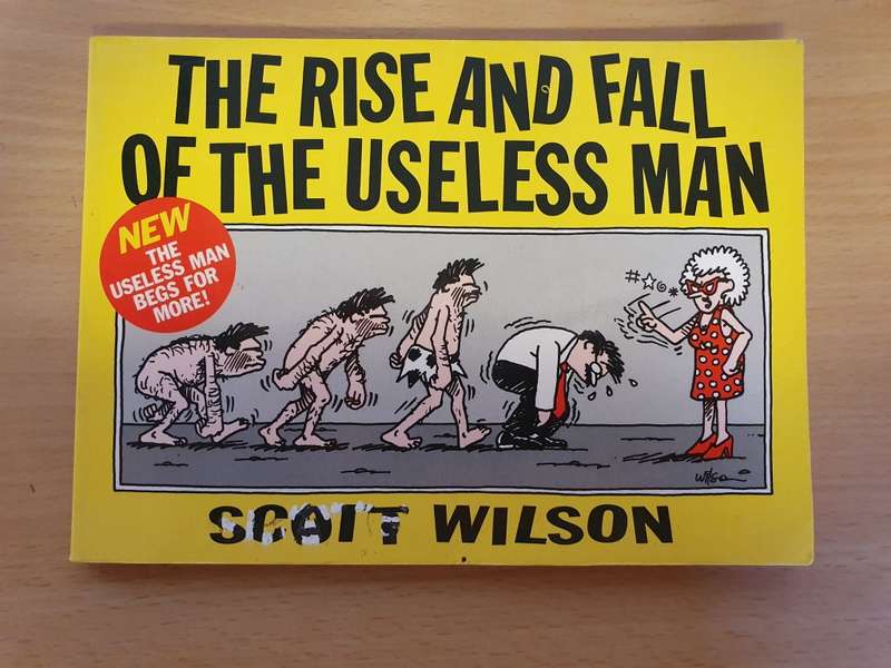 The Rise and Fall of The Useless Man: Scott Wilson (Paperback)