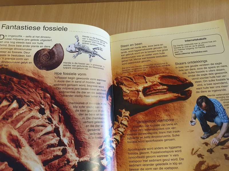 Usborne Discovery - Dinosourusse