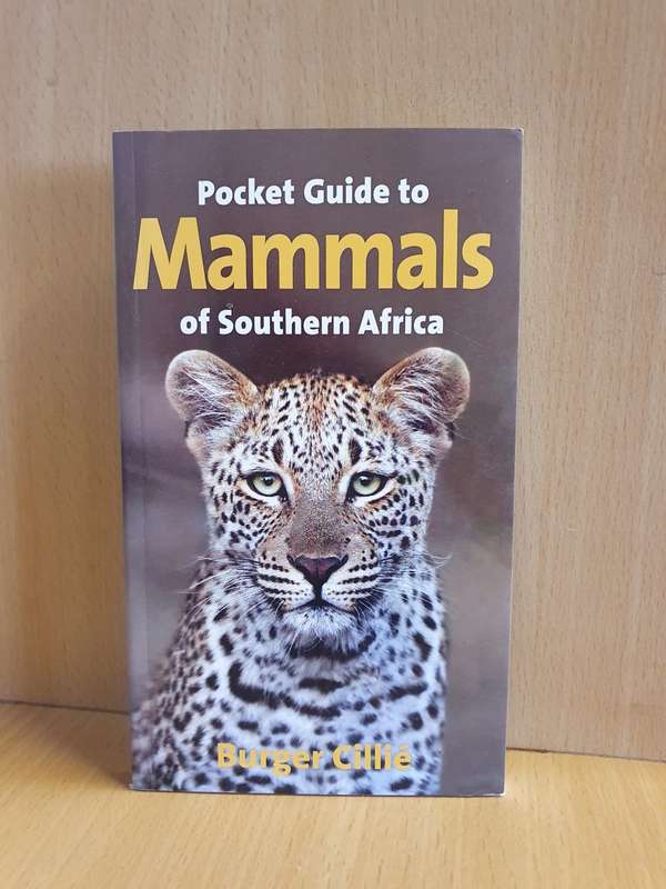 Pocket Guide to Mammals of Southern Africa: Burger Cillie (Paperback)