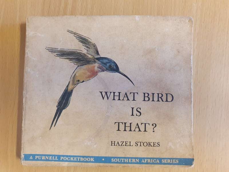 What Bird is That? Hazel Stokes (Paperback)