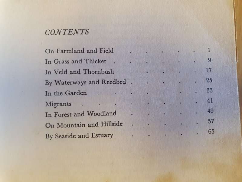 What Bird is That? Hazel Stokes (Paperback)