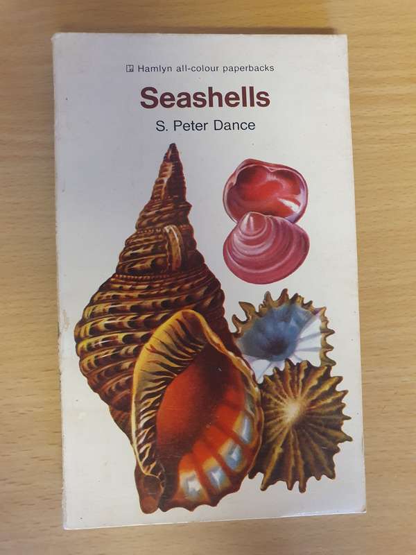 Seashells : S. Peter Dance (Paperback)