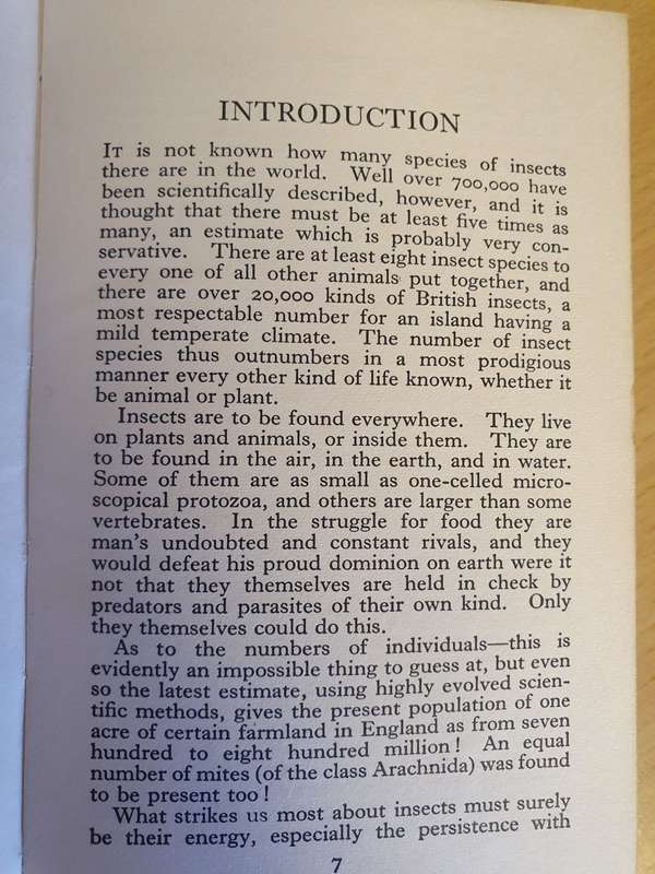 The Observer`s Book of Common Insects & Spiders (Hardcover)