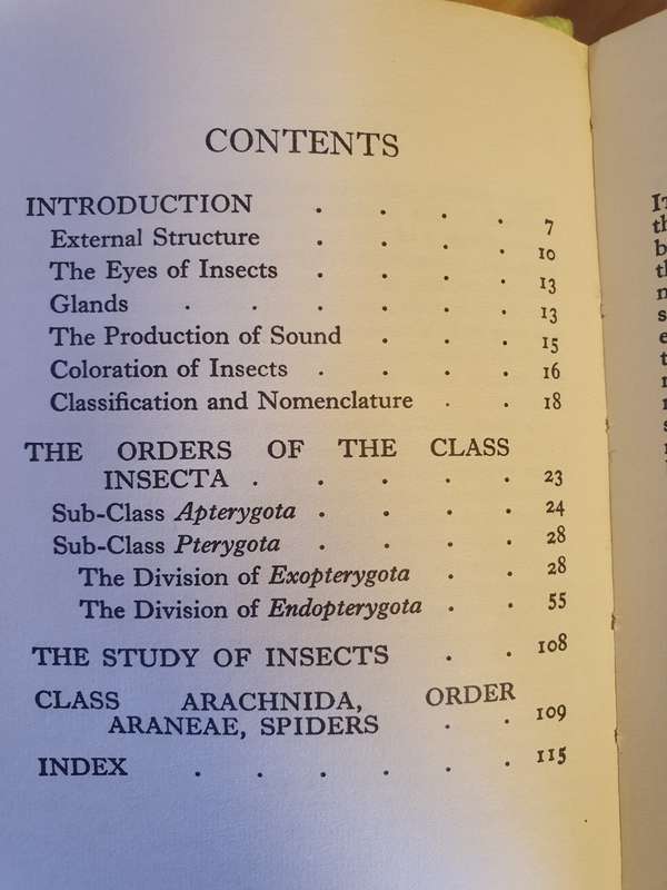 The Observer`s Book of Common Insects & Spiders (Hardcover)