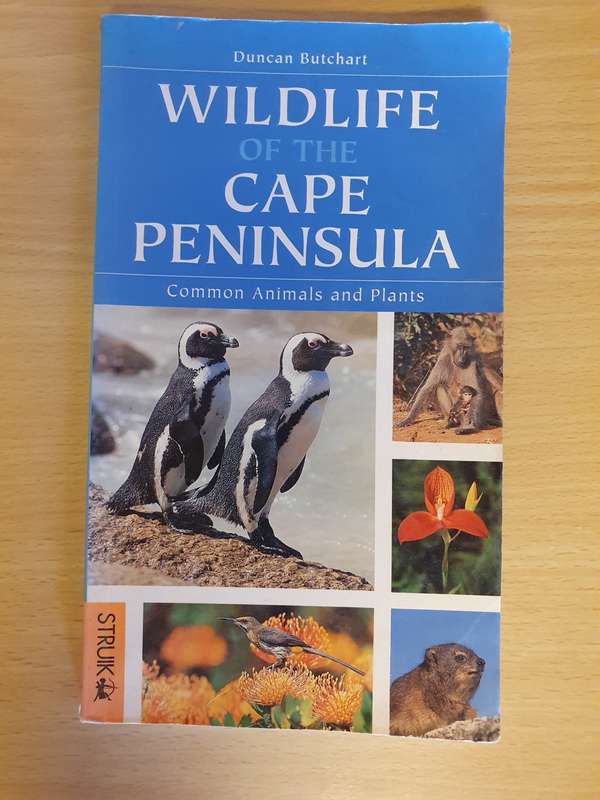Wildlife of The Cape Peninsula - Common Animals and Plants: Duncan Butchart (Paperback)