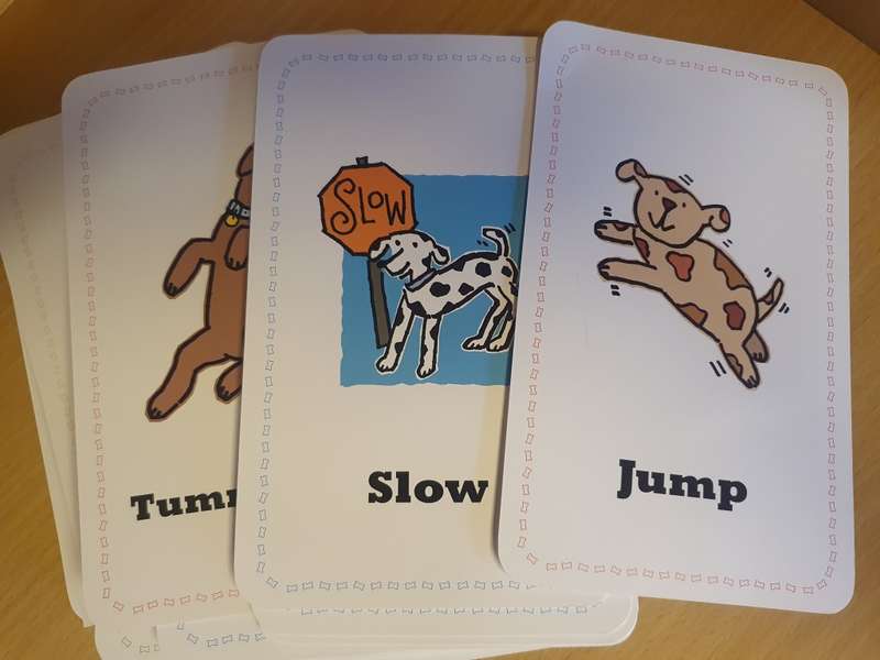 Teach Your Dog to Speak : 50 K-9 Training Flash Cards Box Set