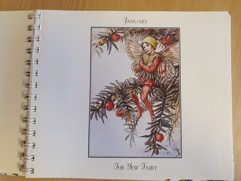 Flower Fairies Gardener`s Year : Cicely Mary Barker (Hardcover)