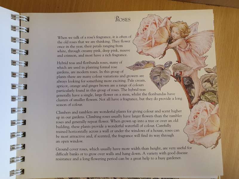 Flower Fairies Gardener`s Year : Cicely Mary Barker (Hardcover)