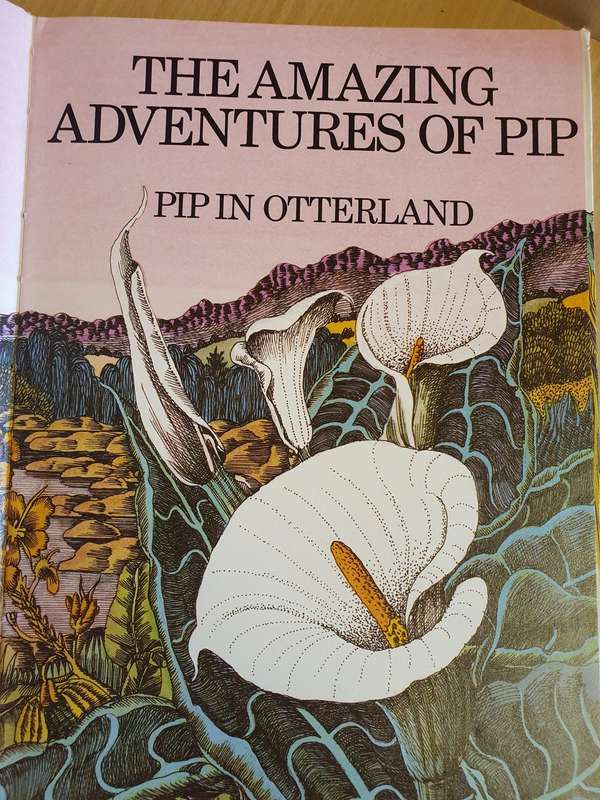 The Amazing Adventures of Pip - Pip in Otterland by W.O. Kuhne (Hardcover)