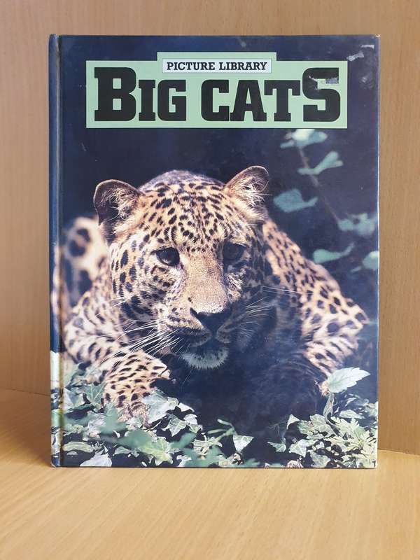 Picture Library - Big Cats (Hardcover)