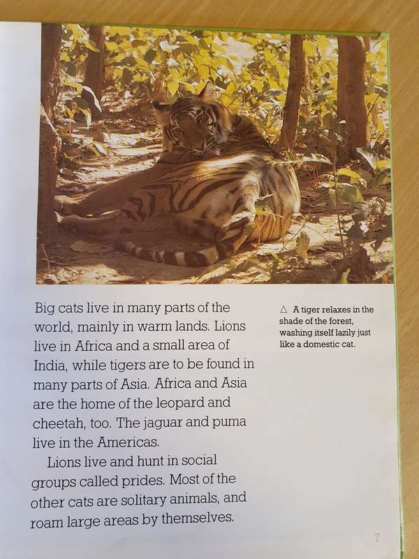 Picture Library - Big Cats (Hardcover)