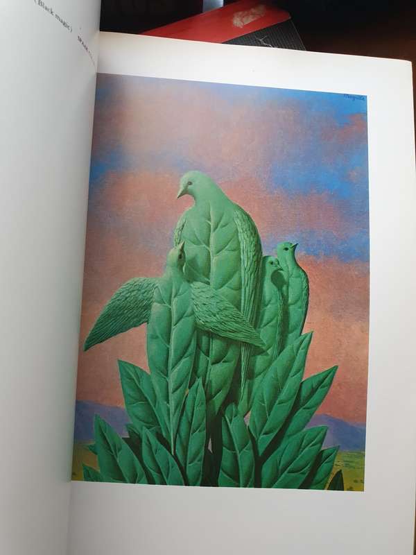Magritte - Edited by David Larkin (Paperback)