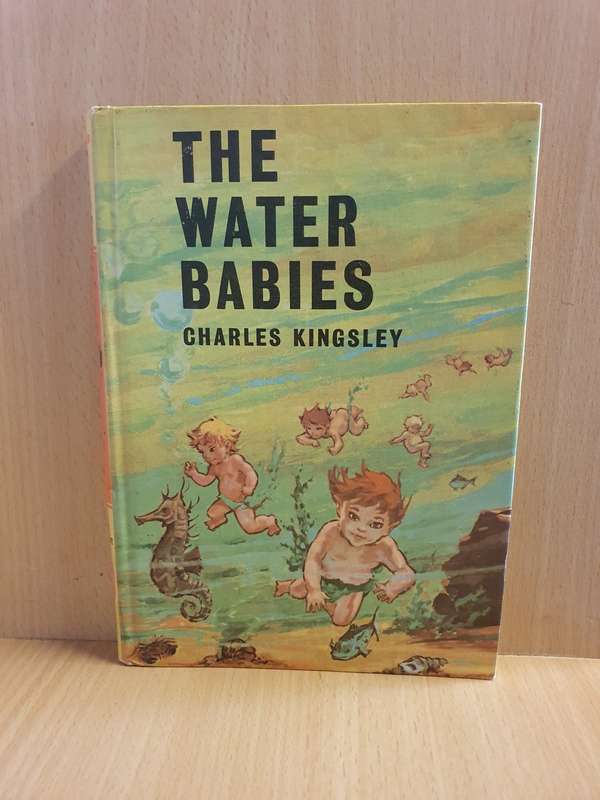 The Water Babies: Charles Kingsley (Hardcover)