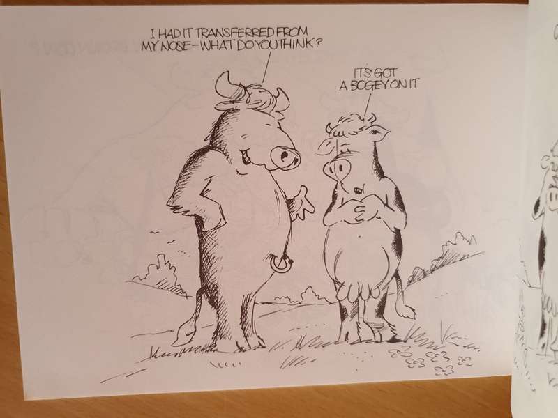 The Silvey-Jex Funny Farm , Silly Moos