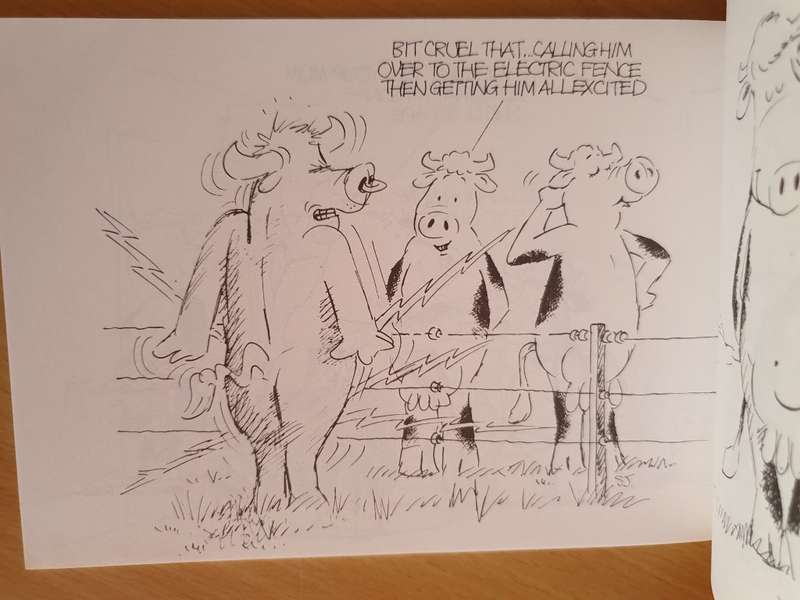 The Silvey-Jex Funny Farm , Silly Moos