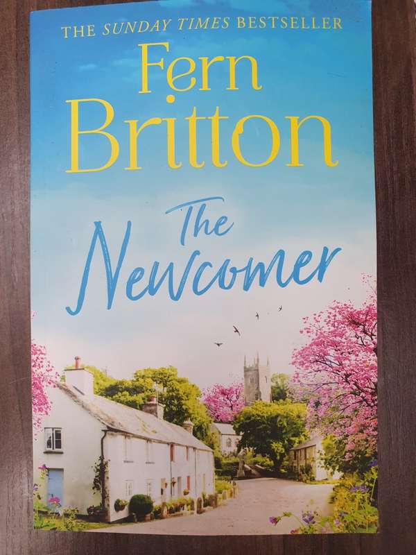 The Newcomer: Fern Britton (Paperback)