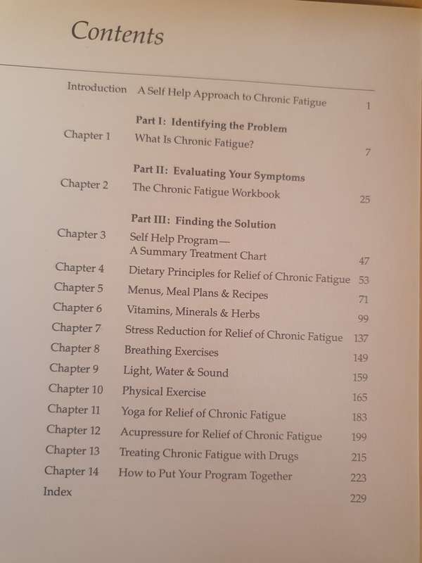 Chronic Fatigue - Self Help Book: Susan M. Lark, M.D. (Paperback)