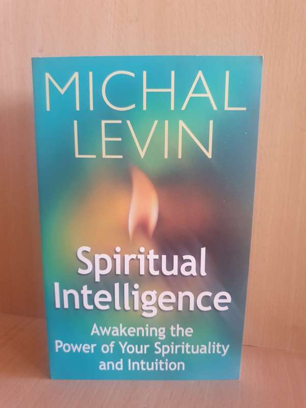 Spiritual Intelligence - Awakening the Power of Your Spirituality and Intuition: Michal Levin