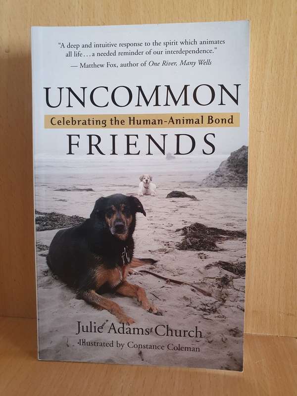Uncommon Friends - Celebrating the Human-Animal Bond: Julie Adams Church (Paperback)