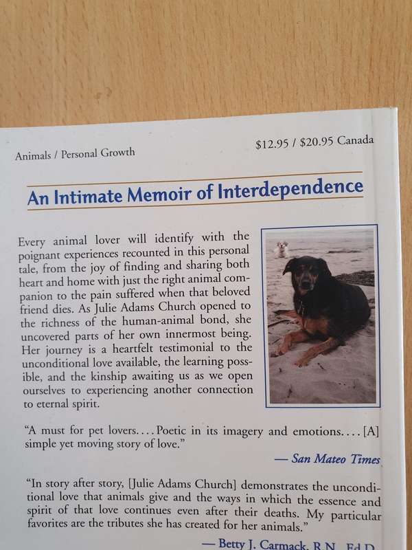 Uncommon Friends - Celebrating the Human-Animal Bond: Julie Adams Church (Paperback)