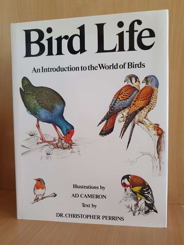 Bird Life - An Introduction to the World of Birds: Dr. Christopher Perrins (Hardcover)
