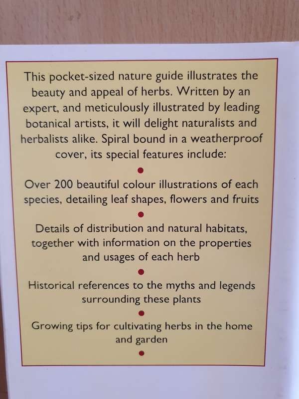 The Pocket Guide to Herbs: Anna Kruger (Paperback)