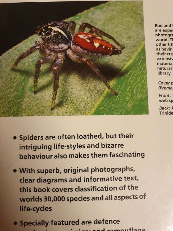 Spiders of The World: Rod & Ken Preston-Mafham (Paperback)