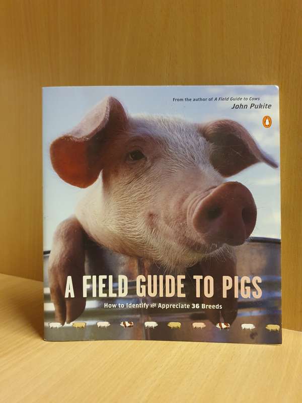 A Field Guide to Pigs - How to Identify and Appreciate 36 Breeds : John Pukite (Paperback)